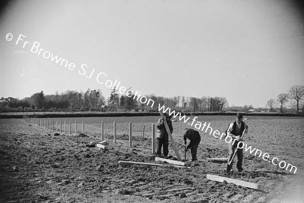 PUTTING UP NEW FENCE POSTS IN NEWLY CLEARED FIELD